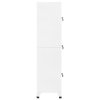 vidaXL Uzamykatelná skříň bílá 38 x 45 x 180 cm ocel