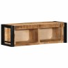 vidaXL TV skříňka 80x30x25 cm masivní hrubý mangovník