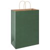vidaXL Papírové tašky 250 ks s uchy zelené 32x17x44 cm