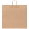 vidaXL Papírové sáčky 250 ks s uchy hnědé 54x15x49 cm