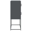 vidaXL Skříň highboard antracitová 68x39x107 cm ocel