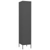 vidaXL Uzamykatelná skříň antracitová 35 x 46 x 180 cm ocel