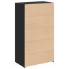 vidaXL Skříň highboard černá 70 x 41 x 124 cm kompozitní dřevo