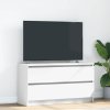 vidaXL TV skříňka bílá 100x35x54 cm Dřevěná konstrukce