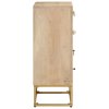 vidaXL Komoda se zásuvkami 55 x 30 x 76 cm masivní mangovník a železo