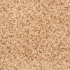 vidaXL Schodové rohože 15 ks 56 x 17 x 3 cm zlaté půlkulaté