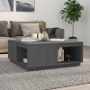 vidaXL Konferenční stolek šedý 100x101x40,5 cm masivní borové dřevo