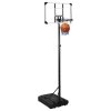vidaXL Basketbalový koš s průhlednou deskou 235–301 cm polykarbonát
