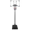 vidaXL Basketbalový koš s průhlednou deskou 235–301 cm polykarbonát