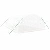 vidaXL Skleník s ocelovým rámem bílý 24 m² 6 x 4 x 2 m