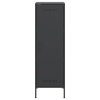 vidaXL Skříň highboard černá 36 x 39 x 113 cm ocel
