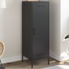 vidaXL Skříň highboard černá 36 x 39 x 113 cm ocel