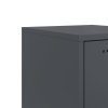 vidaXL Skříň highboard antracitová 36 x 39 x 123 cm ocel