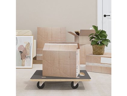 vidaXL Transportné vozíky 2 ks, obdĺžnikové 60x40x11,5 cm 250 kg