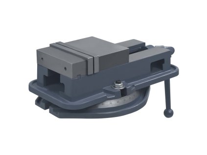 vidaXL Otočný strojový zverák liatina 160 mm