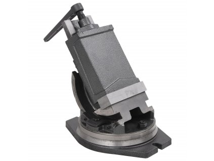 vidaXL 2-osý sklápací zverák 160 mm