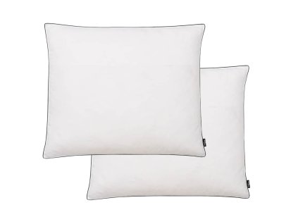 vidaXL Vankúše s výplňou z páperia/peria 2 ks ťažké 70x60 cm biele