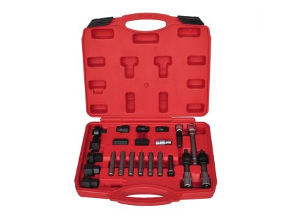 Sada náradia na demontáž alternátorovej voľnobežky 22 ks