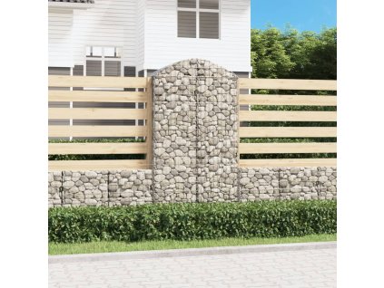 vidaXL Oblúkový gabionový kôš 100x50x180/200 cm pozinkované železo