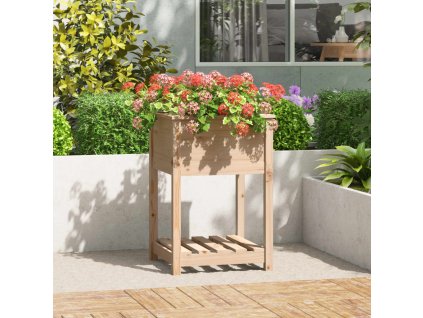 vidaXL Kvetináč s policou 54x54x81 cm masívna borovica