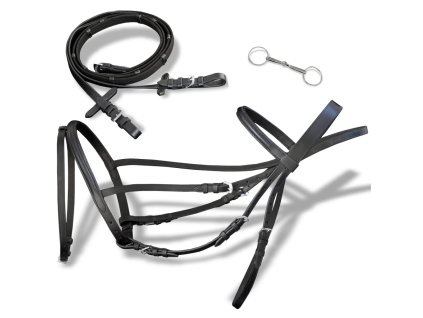 Kožená uzda s opratami a zubadlom na poníkov, čierna, žrebec