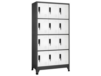 vidaXL Uzamykacia skriňa antracitová a biela 90x45x180 cm oceľová