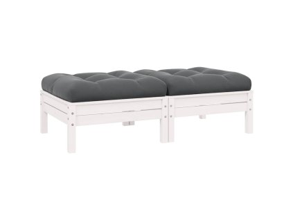 vidaXL 2-miestna záhradná pohovka so sedákmi biela borovicové drevo