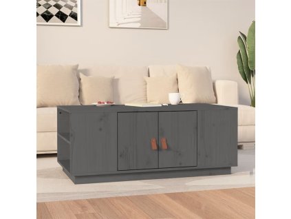 vidaXL Konferenčný stolík sivý 100x50x41 cm masívna borovica
