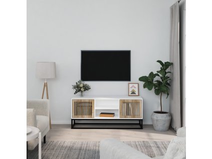 vidaXL TV skrinka biela 105x30x45 cm kompozitné drevo a železo
