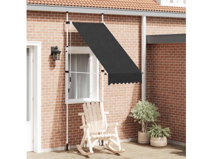 vidaXL Ručne zaťahovacia markíza 100 cm antracitová