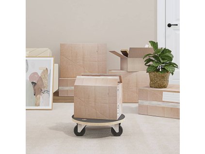 vidaXL Transportné vozíky 2 ks, okrúhle Ø38x11,5 cm 250 kg
