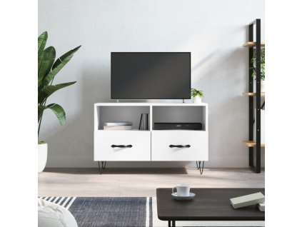 vidaXL TV skrinka biela 80x36x50 cm spracované drevo