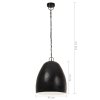 vidaXL Industriálna závesná lampa 25 W, čierna, okrúhla 42 cm E27