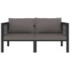 vidaXL 2-miestna pohovka s podložkami antracitová polyratanová