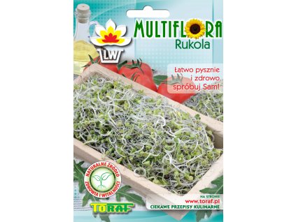 rukola
