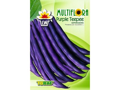 fazol purple teepee