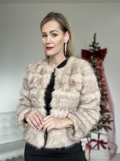 Photo 10 12 2025, 12 41 27