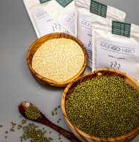                                     Mgr. Petra Havlíková
                            