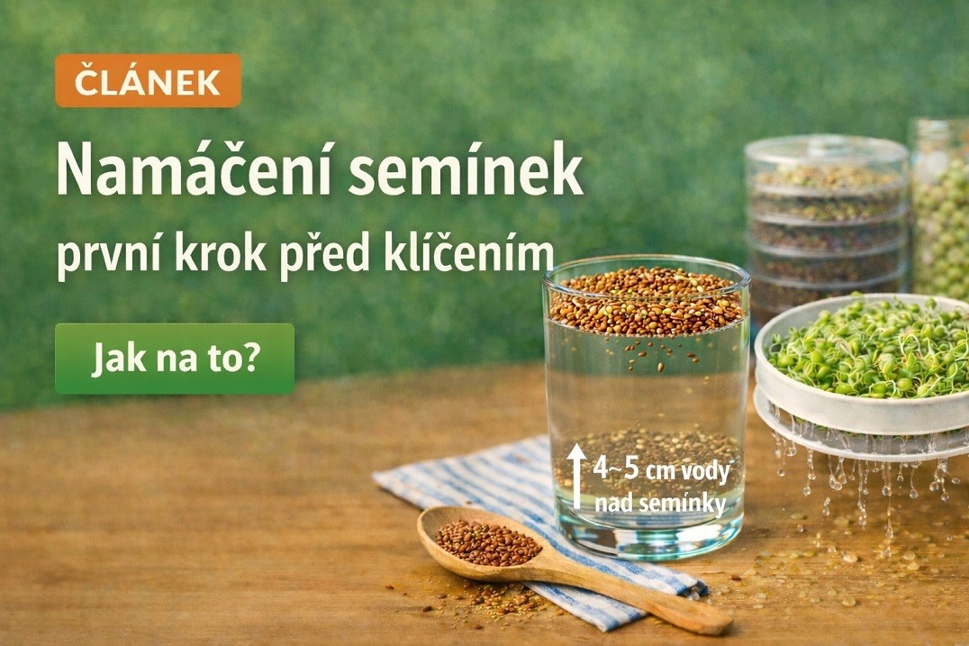 Namáčení semínek: první krok před klíčením semínek
