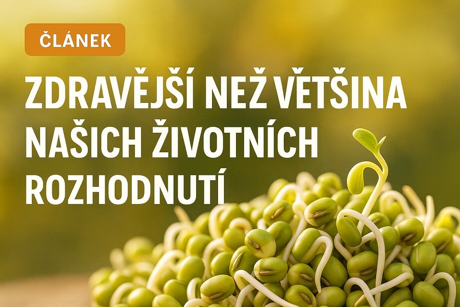Proč klíčit semínka? Protože je to zdravější než většina našich životních rozhodnutí