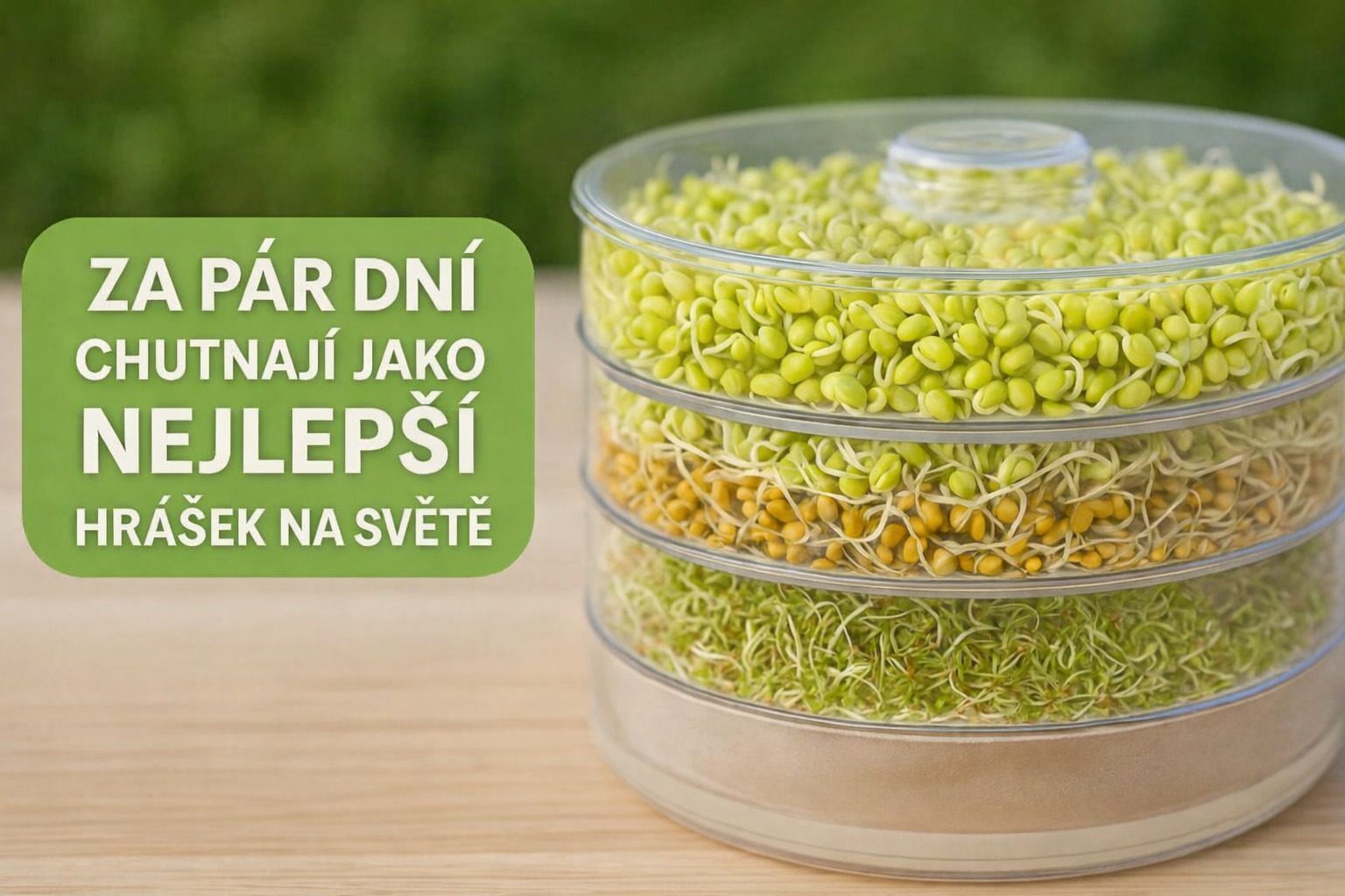 Mungo fazole klíčky bannerTOP2