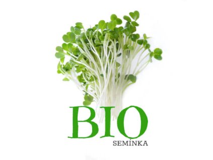 Brokolice Bio semena na klíčení 10g