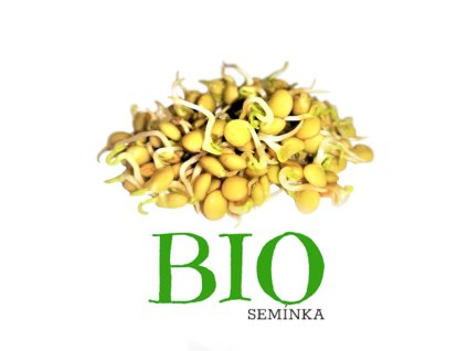 Čočka semena na klíčení 20g