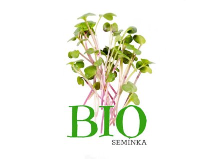 Ředkvička čínská růžová BIO semena na klíčení 20g