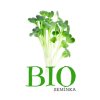 Rukola Bio semena na klíčení 10g