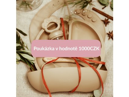 Poukážka v hodnote 100CZK