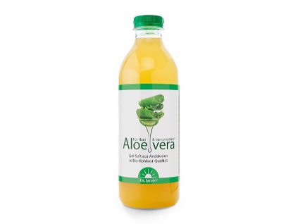 aloe vera stava