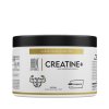 hbn supplements creatine +