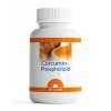curcumin phospholipid 1
