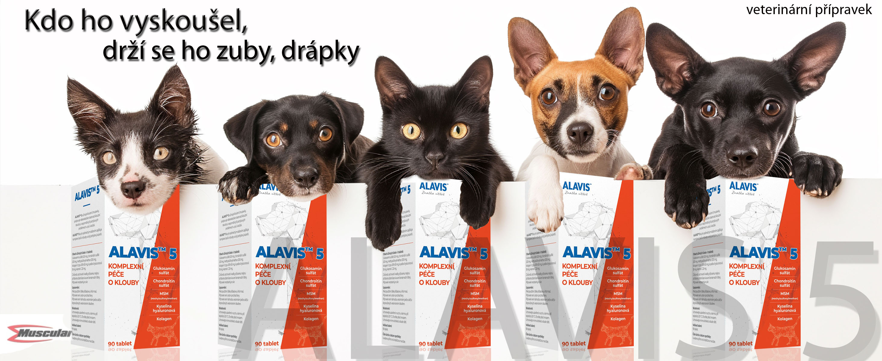 Alavis 5 pro klouby milááááčka